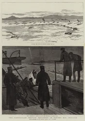 The Particular Service Squadron in Bantry Bay, Ireland